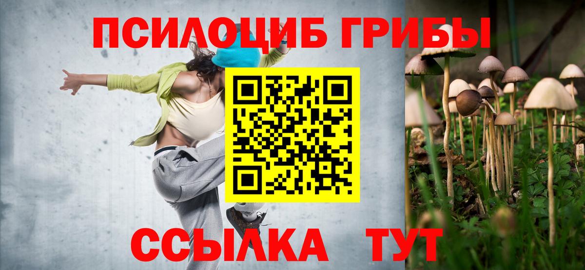 Галлюциногенные грибы Cubensis Симферополь